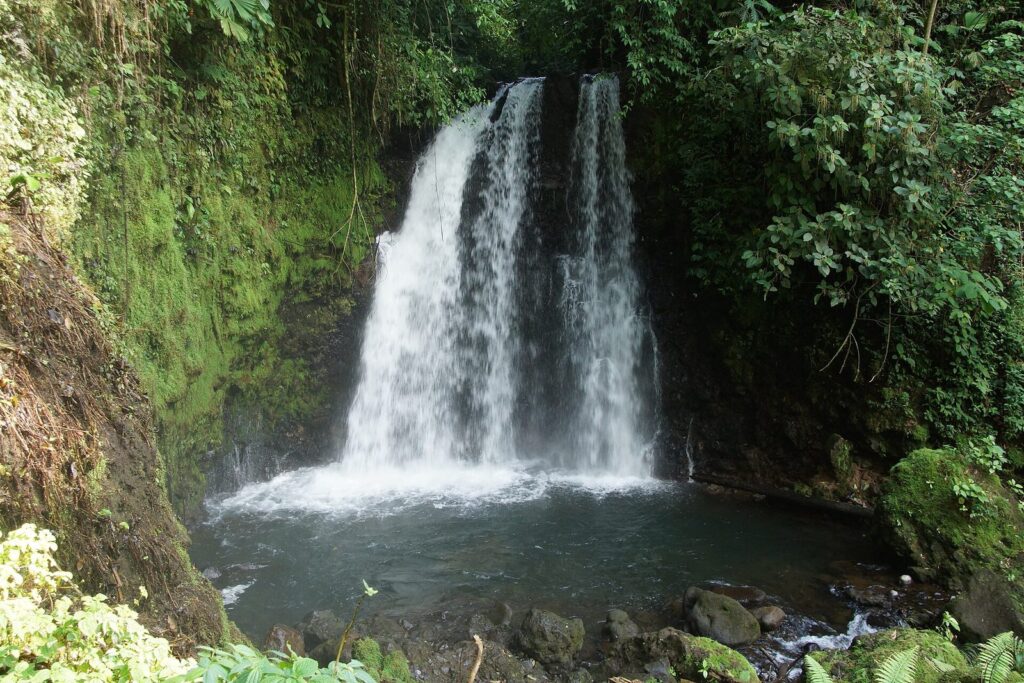Cascada del Río Celeste cayendo sobre una poza azul rodeada de selva