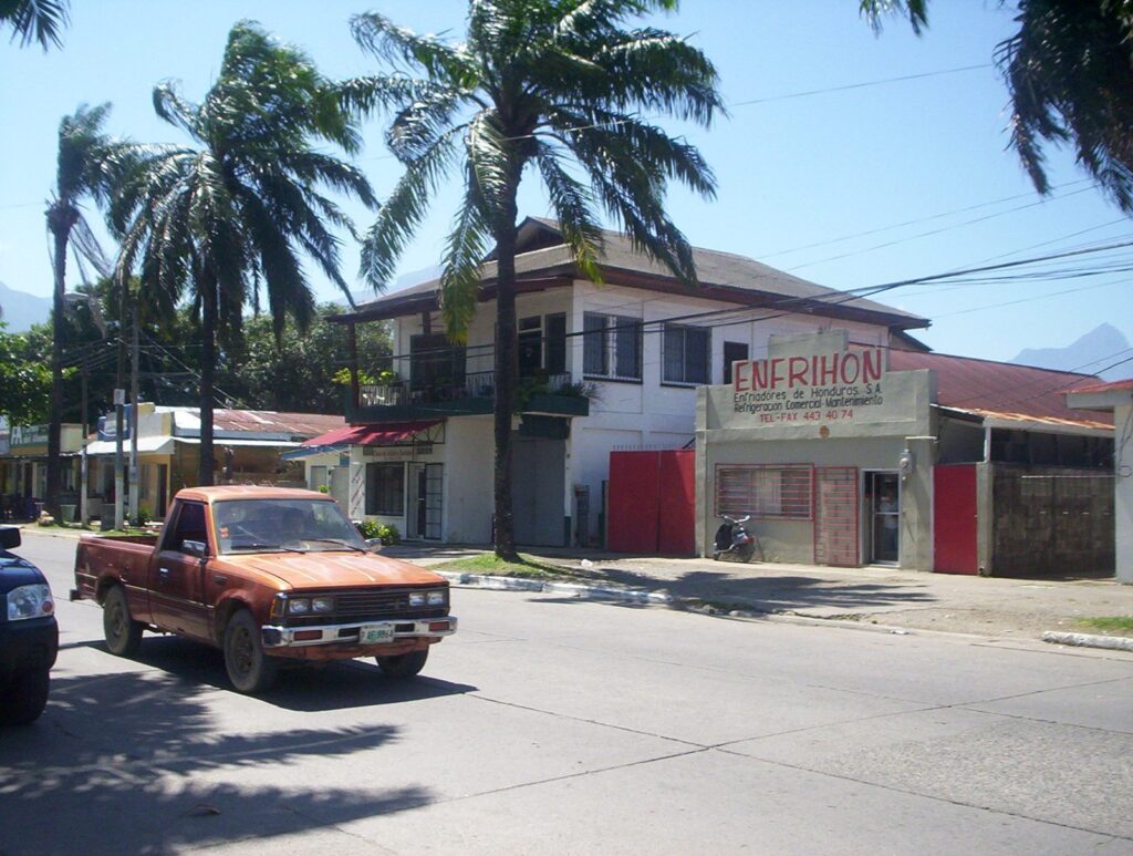 Calle de La Ceiba con palmeras y coches aparcados