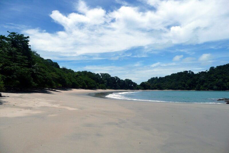 Manuel Antonio: playas y vida silvestre en el parque más visitado