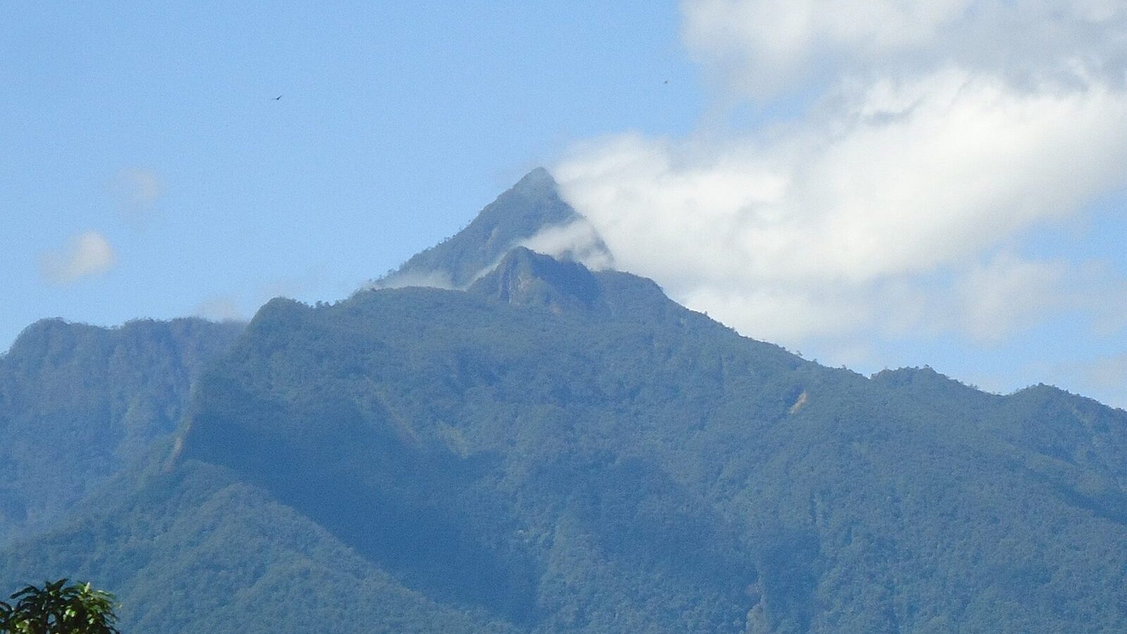 Cumbre del Pico Bonito envuelta en nubes sobre la selva del norte de Honduras