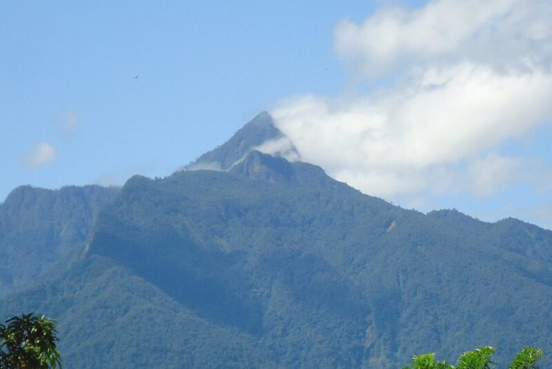 Parque Nacional Pico Bonito: guía de senderismo y naturaleza