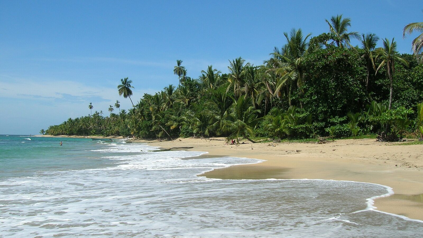 Playa de Punta Uva, en el Caribe sur de Costa Rica, con palmeras y agua turquesa