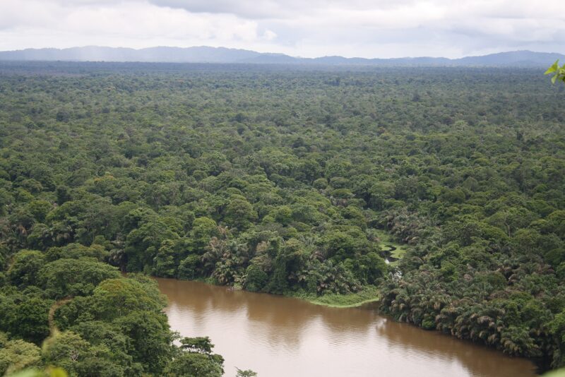 Tortuguero: canales, tortugas y cómo llegar al pueblo sin carreteras