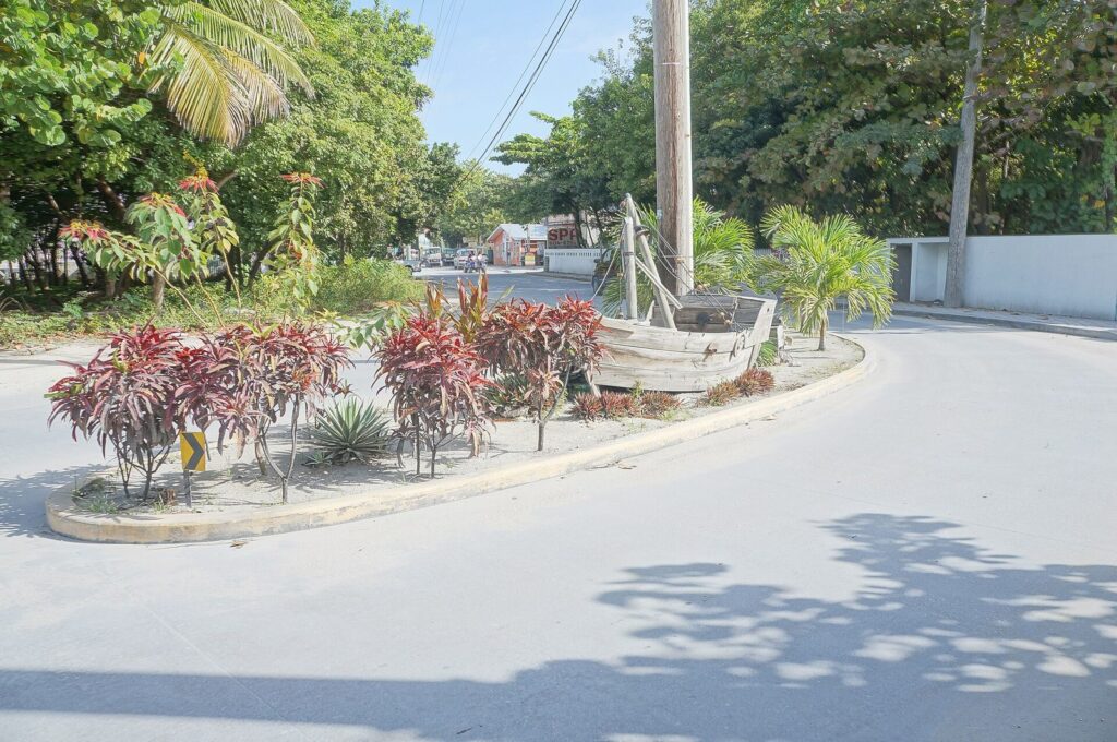 Carretera arbolada en Ambergris Caye, Belice