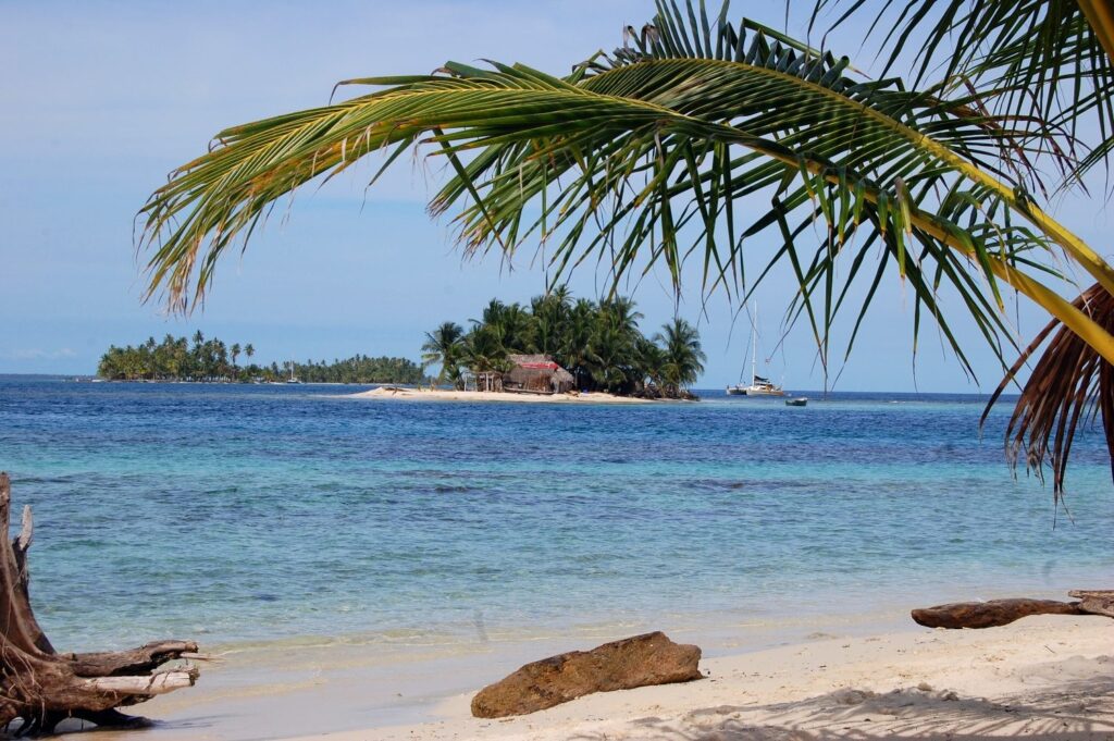 Playa de arena blanca de San Blas con una palmera en primer plano